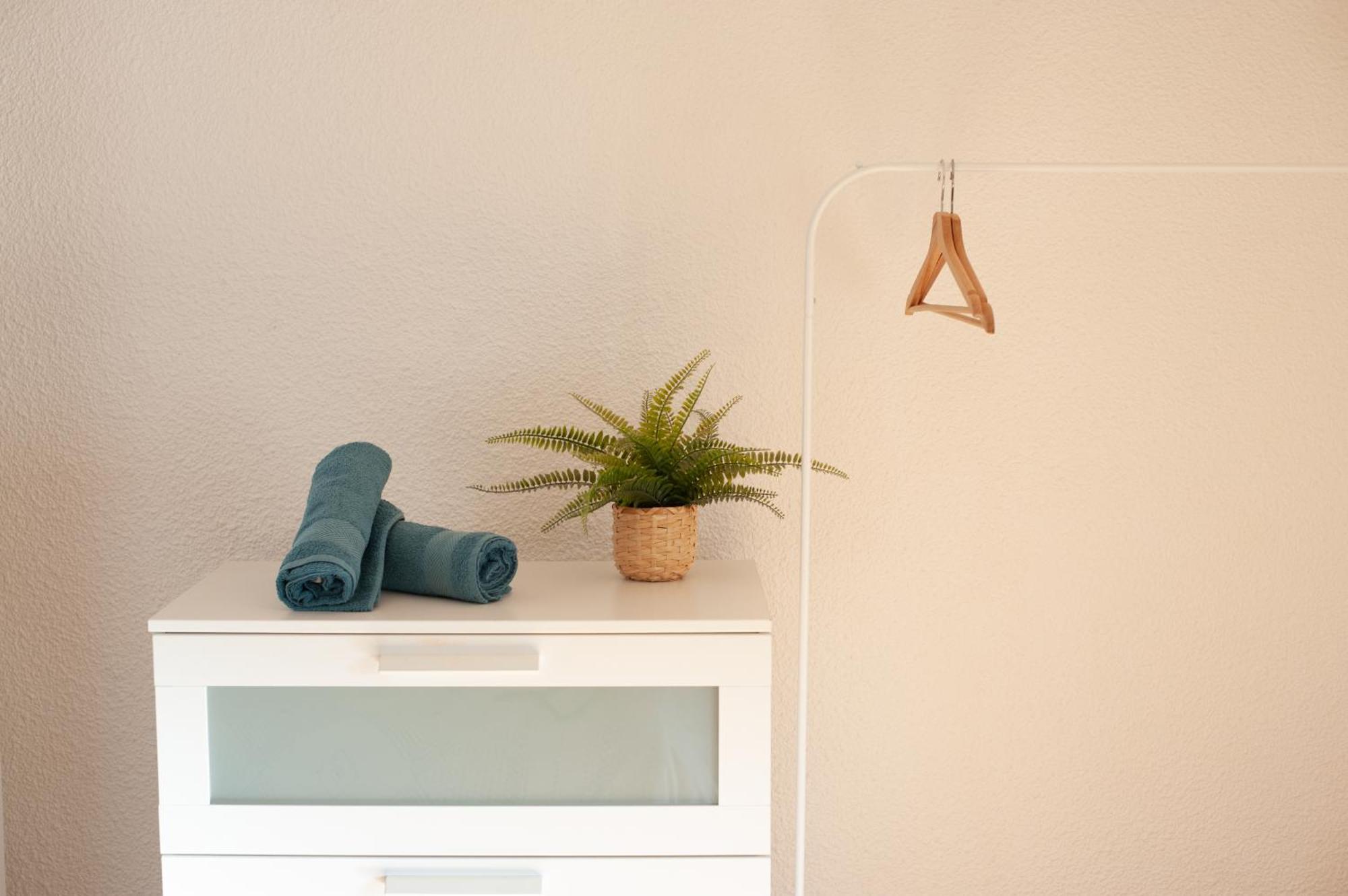 Appartement Chaleureux Au Pied De La Cite Avec Parking Carcassonne Exteriér fotografie